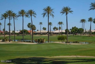 Beautifully remodeled home with modern upgrades throughout! on Stardust Golf Course in Arizona - for sale on GolfHomes.com, golf home, golf lot