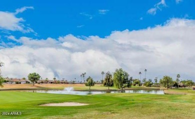 Beautifully remodeled home with modern upgrades throughout! on Stardust Golf Course in Arizona - for sale on GolfHomes.com, golf home, golf lot