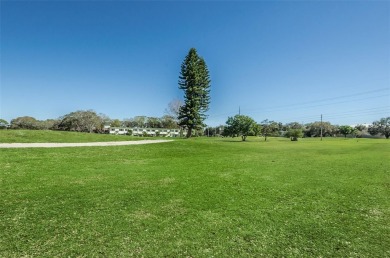 Looking for a lovely, reasonably priced unit in a 55+ community on On Top Of The World Golf Course in Florida - for sale on GolfHomes.com, golf home, golf lot