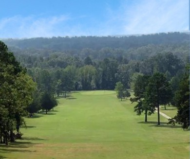 ''3.25% assumable loan rate available for qualified buyer!  Live on Lions Den Golf Club in Arkansas - for sale on GolfHomes.com, golf home, golf lot