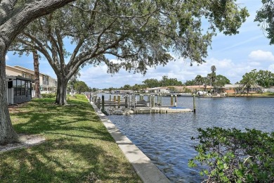 Nestled within the serene waterfront Mariners Pass community on Mangrove Bay Golf Course in Florida - for sale on GolfHomes.com, golf home, golf lot