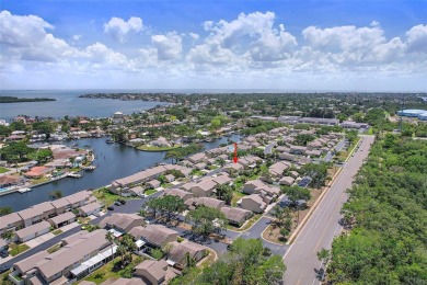 Nestled within the serene waterfront Mariners Pass community on Mangrove Bay Golf Course in Florida - for sale on GolfHomes.com, golf home, golf lot
