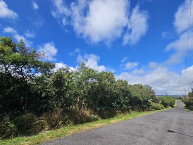 This is an excellent property that backs up to Hole 6 of the on Discovery Harbour Golf Course in Hawaii - for sale on GolfHomes.com, golf home, golf lot