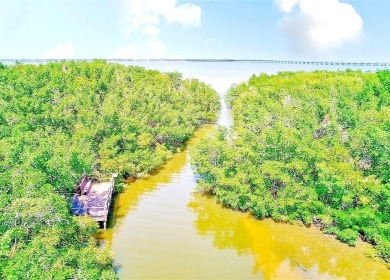 One or more photos is virtually staged!**PRIDE OF OWNERSHIP ( 24 on Cove Cay Country Club in Florida - for sale on GolfHomes.com, golf home, golf lot