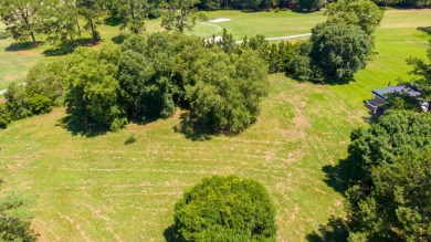 Build your dream home here! 0.78 acres in desired Blueberry on Blueberry Plantation Golf and Country Club in Georgia - for sale on GolfHomes.com, golf home, golf lot