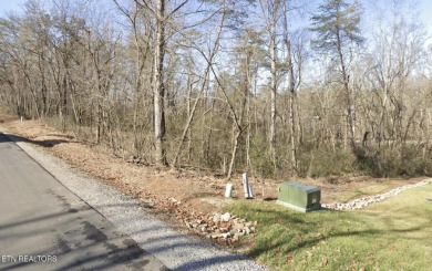 TO BE BUILT: Modern Elegance Meets Mountain-Lake Living - New on Toqua Golf Course - Loudon County in Tennessee - for sale on GolfHomes.com, golf home, golf lot
