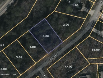 TO BE BUILT: Modern Elegance Meets Mountain-Lake Living - New on Toqua Golf Course - Loudon County in Tennessee - for sale on GolfHomes.com, golf home, golf lot