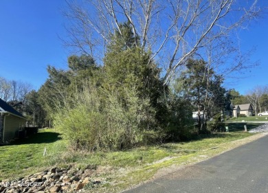 TO BE BUILT: One of the last almost flat lots in Tellico on Toqua Golf Course - Loudon County in Tennessee - for sale on GolfHomes.com, golf home, golf lot