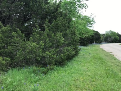 0.2823 AC interior lot located across one of the catch and on White Bluff Resort - New Course in Texas - for sale on GolfHomes.com, golf home, golf lot