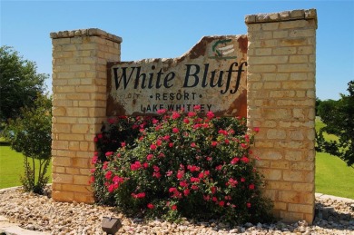 White Bluff Resort is a community with Lake Whitney access! on White Bluff Resort - New Course in Texas - for sale on GolfHomes.com, golf home, golf lot