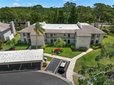 STUNNING!  This renovated condo is simply stunning!  Located in on East Lake Woodlands Country Club in Florida - for sale on GolfHomes.com, golf home, golf lot