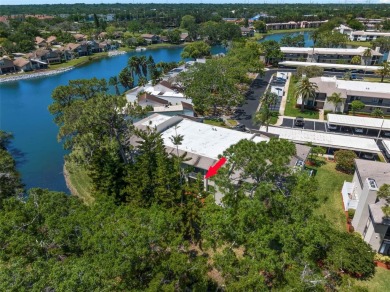 STUNNING!  This renovated condo is simply stunning!  Located in on East Lake Woodlands Country Club in Florida - for sale on GolfHomes.com, golf home, golf lot