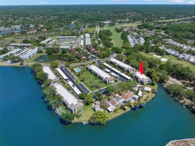 STUNNING!  This renovated condo is simply stunning!  Located in on East Lake Woodlands Country Club in Florida - for sale on GolfHomes.com, golf home, golf lot