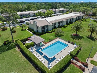STUNNING!  This renovated condo is simply stunning!  Located in on East Lake Woodlands Country Club in Florida - for sale on GolfHomes.com, golf home, golf lot