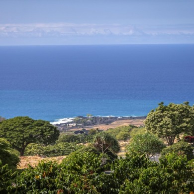 Experience the pinnacle of Hawaii luxury living with this on Club At Hokulia in Hawaii - for sale on GolfHomes.com, golf home, golf lot