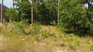 Exceptional golf views! This home site overlooks the 14th green on The Reserve Club At Woodside Plantation in South Carolina - for sale on GolfHomes.com, golf home, golf lot