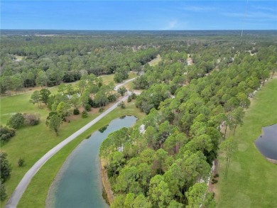 JUST IN TIME FOR SUMMER....0.47 OF AN ACRE IS WAITING FOR YOU TO on Sapelo Hammock Golf Club in Georgia - for sale on GolfHomes.com, golf home, golf lot