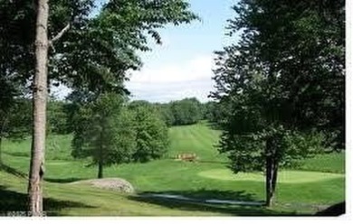 This 3 bed, 3 bath contemporary home is located less than a mile on The Hideout Golf in Pennsylvania - for sale on GolfHomes.com, golf home, golf lot