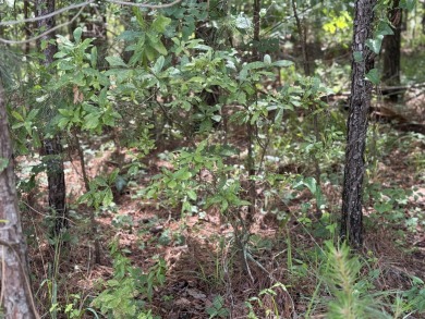 0.72 acre lot located in the prestigious neighborhood of Mount on Mount Vintage Plantation and Golf Club  in South Carolina - for sale on GolfHomes.com, golf home, golf lot
