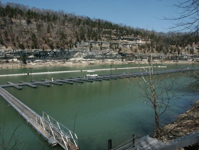 Ready to start enjoying for the 2026 season. If you don't know on Woodson Bend Resort in Kentucky - for sale on GolfHomes.com, golf home, golf lot