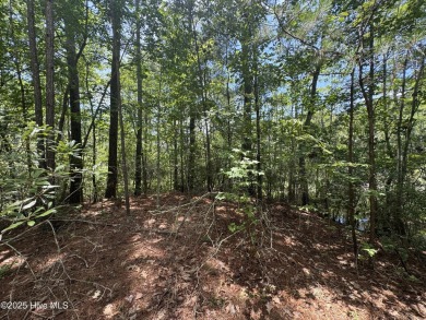 Don't miss this incredible opportunity to own a build-ready on Sound Golf Links at Albemarle Plantation in North Carolina - for sale on GolfHomes.com, golf home, golf lot