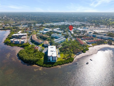 Welcome home to Mediterranean Manor, an idyllic waterfront on The Dunedin Country Club in Florida - for sale on GolfHomes.com, golf home, golf lot