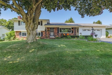 Wonderful in West Irondequoit Split is clean as a whistle, shows on Durand-Eastman Park Golf Course in New York - for sale on GolfHomes.com, golf home, golf lot