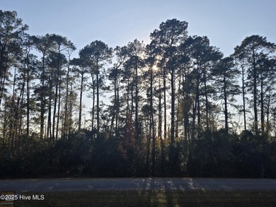 You'll love coming home to this well built, well maintained on Harbour Point Golf Club in North Carolina - for sale on GolfHomes.com, golf home, golf lot