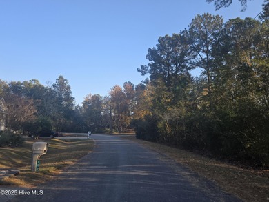 You'll love coming home to this well built, well maintained on Harbour Point Golf Club in North Carolina - for sale on GolfHomes.com, golf home, golf lot