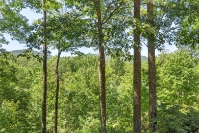 Discover the timeless appeal of mountain living in this classic on Burlingame Country Club in North Carolina - for sale on GolfHomes.com, golf home, golf lot