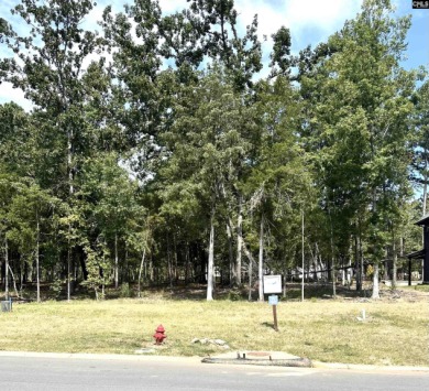 Welcome to White Water Landing, Lake Murray's newest premier on Timberlake Country Club in South Carolina - for sale on GolfHomes.com, golf home, golf lot