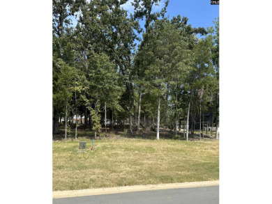 Welcome to White Water Landing, Lake Murray's newest premier on Timberlake Country Club in South Carolina - for sale on GolfHomes.com, golf home, golf lot