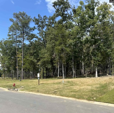 Welcome to White Water Landing, Lake Murray's newest premier on Timberlake Country Club in South Carolina - for sale on GolfHomes.com, golf home, golf lot