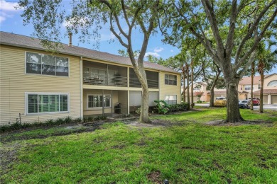 Fully Renovated  First-Floor Condo  Attached Garage on Ventura Country Club in Florida - for sale on GolfHomes.com, golf home, golf lot