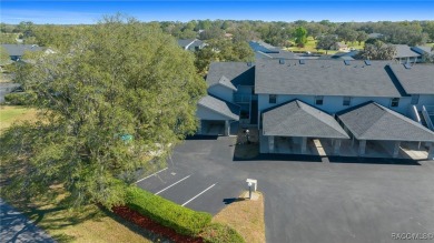 Nestled in the highly sought-after Greenbriar II community, this on Citrus Hills Golf Club in Florida - for sale on GolfHomes.com, golf home, golf lot