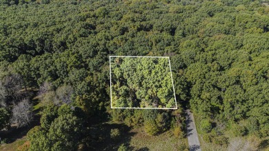 Great Hope Estates Lot 10 is a nice buildable, wooded lot close on Point O Woods Country Club in Michigan - for sale on GolfHomes.com, golf home, golf lot