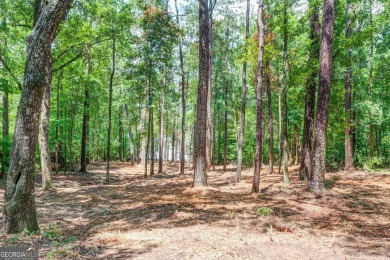 Gorgeous year-round water view lot located in Turtle Cove. Enjoy on Turtle Cove Golf Course in Georgia - for sale on GolfHomes.com, golf home, golf lot