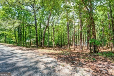 Gorgeous year-round water view lot located in Turtle Cove. Enjoy on Turtle Cove Golf Course in Georgia - for sale on GolfHomes.com, golf home, golf lot