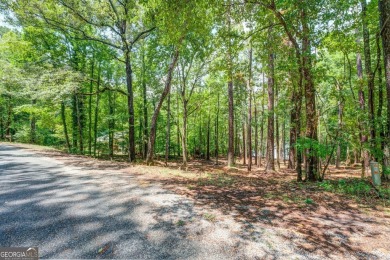 Gorgeous year-round water view lot located in Turtle Cove. Enjoy on Turtle Cove Golf Course in Georgia - for sale on GolfHomes.com, golf home, golf lot