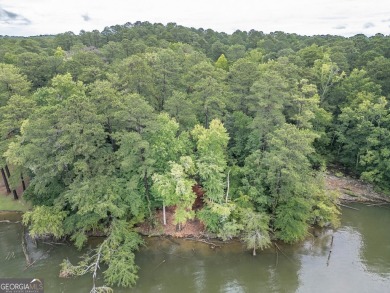 Gorgeous year-round water view lot located in Turtle Cove. Enjoy on Turtle Cove Golf Course in Georgia - for sale on GolfHomes.com, golf home, golf lot