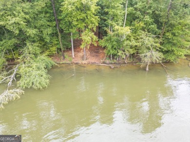 Gorgeous year-round water view lot located in Turtle Cove. Enjoy on Turtle Cove Golf Course in Georgia - for sale on GolfHomes.com, golf home, golf lot