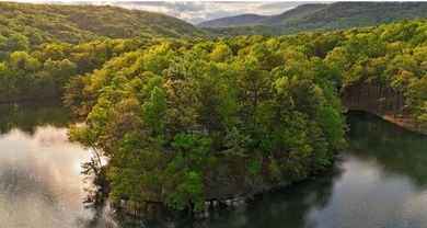 OVER 550 FEET OF SHORELINE! This is a fabulous opportunity to on Big Canoe Golf Club - Cherokee in Georgia - for sale on GolfHomes.com, golf home, golf lot