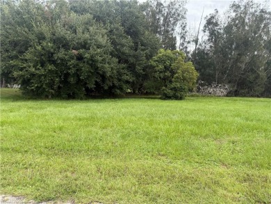 NICE SIZED LOT LOCATED IN SPRING LAKEE BUILD YOUR DREAM HOME on Spring Lake Golf Resort in Florida - for sale on GolfHomes.com, golf home, golf lot