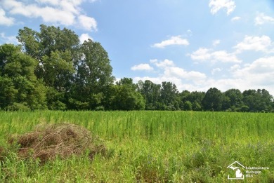 Discover the potential of this 2/3-bedroom ranch home situated on Dundee Golf Club in Michigan - for sale on GolfHomes.com, golf home, golf lot
