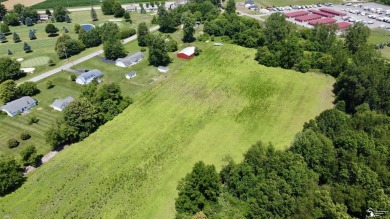 Discover the potential of this 2/3-bedroom ranch home situated on Dundee Golf Club in Michigan - for sale on GolfHomes.com, golf home, golf lot