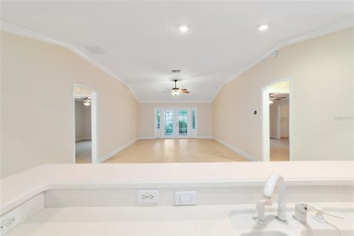 One or more photo(s) has been virtually staged. Village of on The Links of Spruce Creek in Florida - for sale on GolfHomes.com, golf home, golf lot
