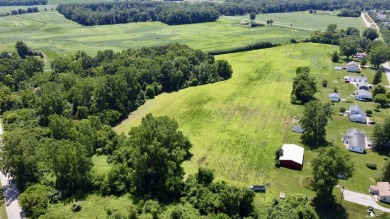 Discover the potential of this 2/3-bedroom ranch home situated on Dundee Golf Club in Michigan - for sale on GolfHomes.com, golf home, golf lot