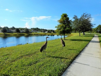 Conservation Lot. Furnished. Front Pond View. Single-story home on Meadow Oaks Golf and Country Club in Florida - for sale on GolfHomes.com, golf home, golf lot