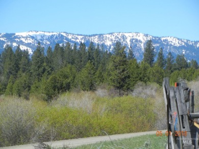 Welcome Home to Elk Meadows River Ranches, with only 14 lots on Osprey Meadows at Tamarack Resort in Idaho - for sale on GolfHomes.com, golf home, golf lot