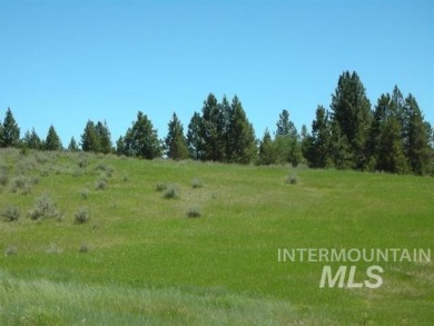 Welcome Home to Elk Meadows River Ranches, with only 14 lots on Osprey Meadows at Tamarack Resort in Idaho - for sale on GolfHomes.com, golf home, golf lot